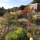 02-Blick-in-den-Garten